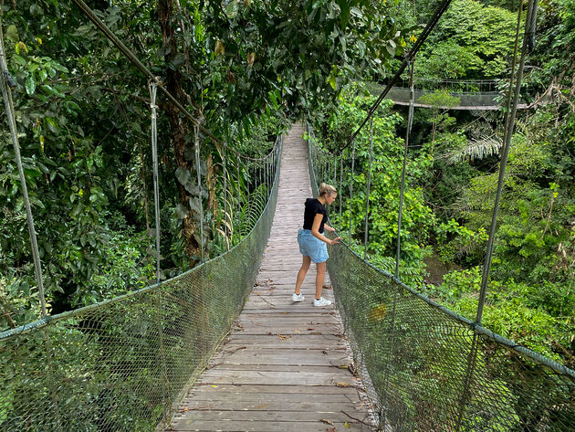 Een bijzondere wandeling over deze hangbruggen tussen de bomen van de jungle