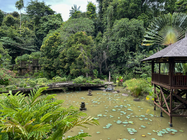 Het uitzicht op de jungle van Bunga Raya Island