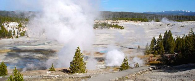 Geisers in Yellowstone NP in Wyoming