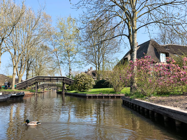 Giethoorn in het voorjaar