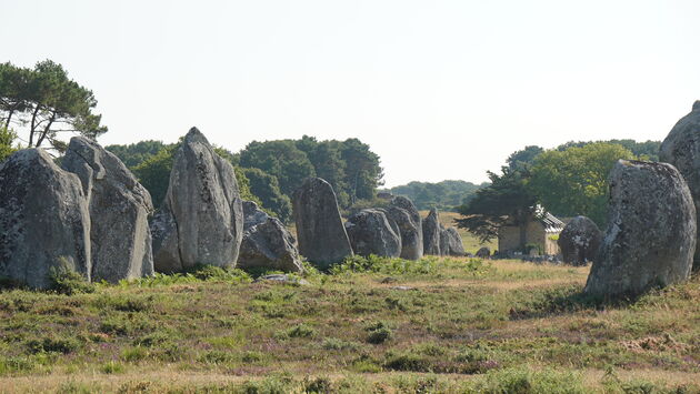 Sommige stenen (menhirs) zijn ongekend groot