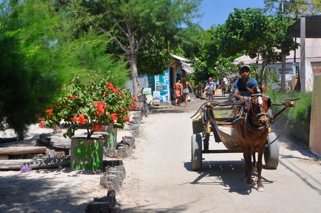 Taxi`s op het eiland: paard en wagen!