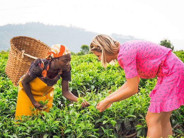 gisakura-theeplantage-rwanda.jpeg