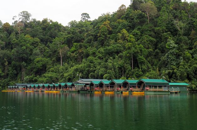 Glamping in Elephant Hills Rainforest Camp