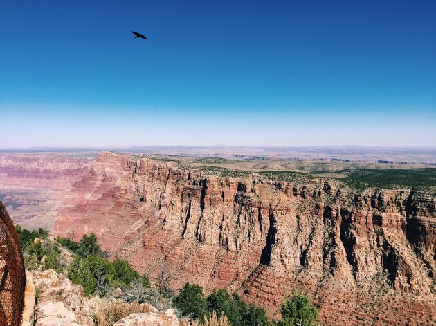 De Grand Canyon in Arizona