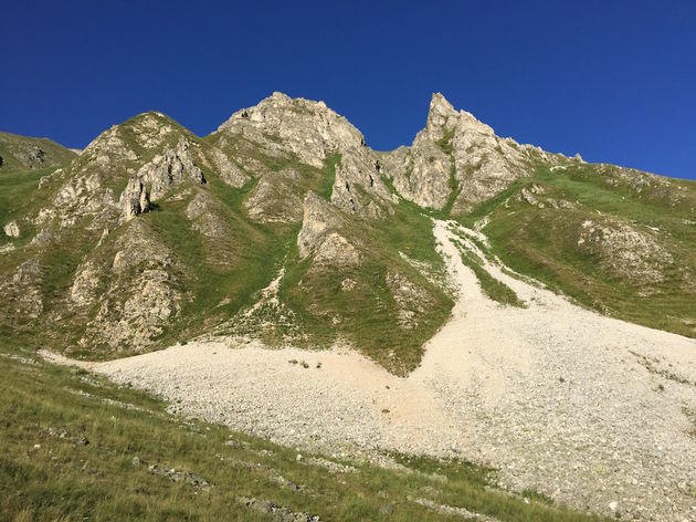 Hoog boven ons hoofd springen gemzen over de toppen