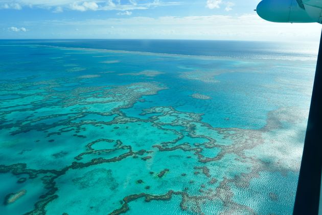 Het Great Barrier Reef van bovenaf: een wereldwonder