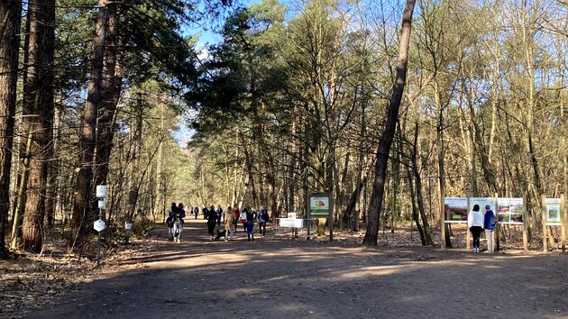 Kalmthout (B): Het mooiste vertrekpunt om je eerste wandeling te maken