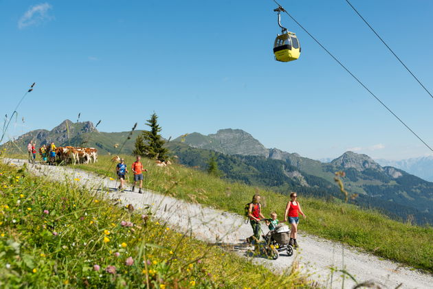 Wandelen in Grossarltal: het dal van de almen