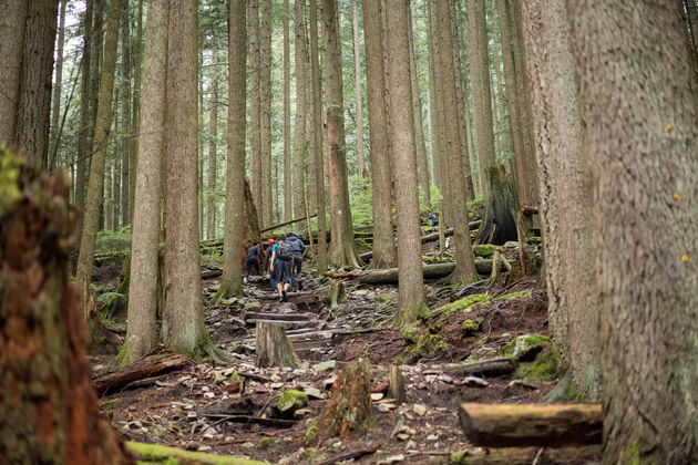 De start van de Grouse Grind