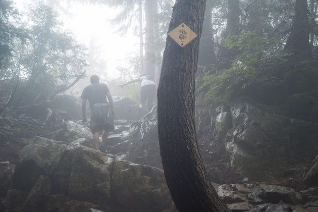 grouse-mountain.jpeg