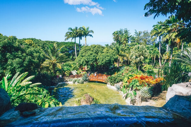 guadeloupe-foto-botanische-tuin.jpeg