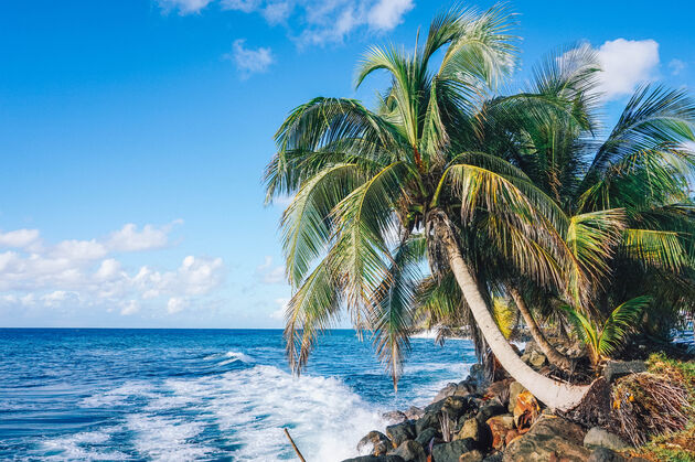 Het perfecte Caribische plaatje: een helder blauw zee, rotsen en palmbomen.