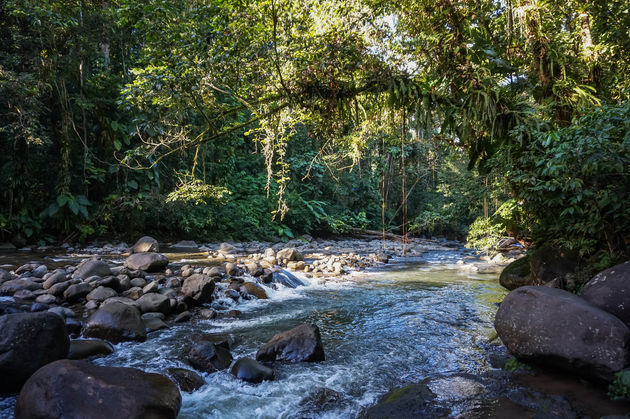 Een stukje hiken in Parc national de la Guadeloupe