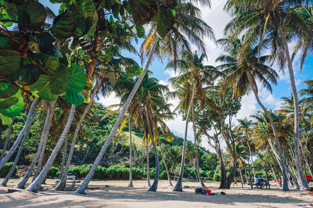 Op Guadeloupe vind je paradijselijke stranden