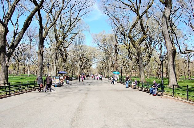 Hardlopen in Central Park staat bij een hoop hardlopende reizigers op de to-do-list