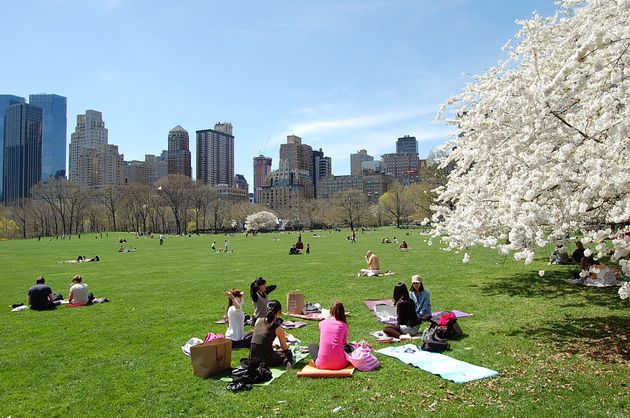 Voor chillen in Central Park is geen tijd, ga lekker hardlopen!