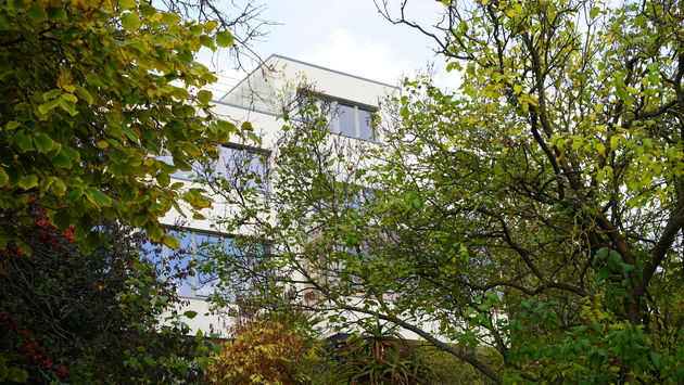 Haus Zuckerkandl in Jena, ontworpen door Gropius