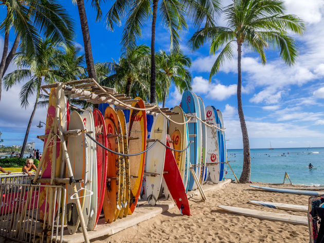 hawaii-surfen.jpeg