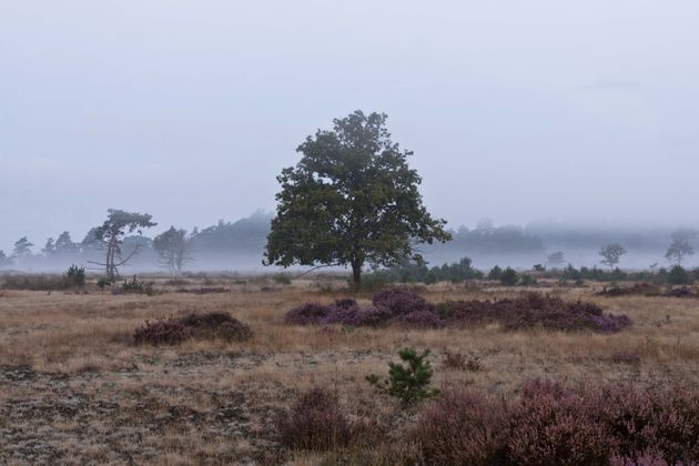 herfst-fotografie