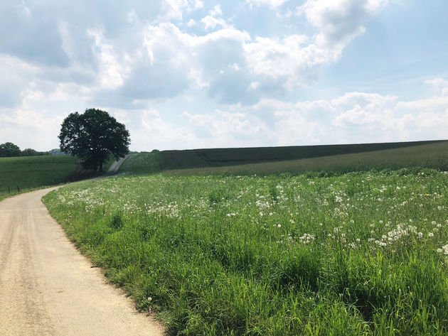 Geniet van de natuur tijdens een flinke hike tocht