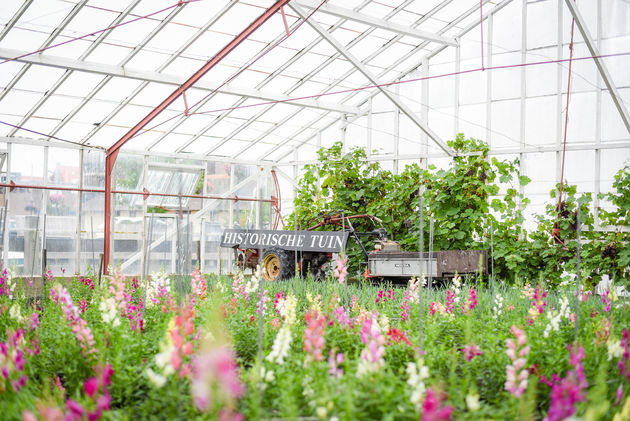 In de Historische Tuin vind je meer dan 900 verschillende soorten bloemen en planten