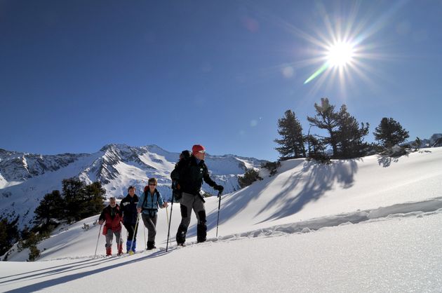 Maak een wandeling op sneeuwschoenen om wilde dieren te spotten in Nationalpark Hohe Tauern