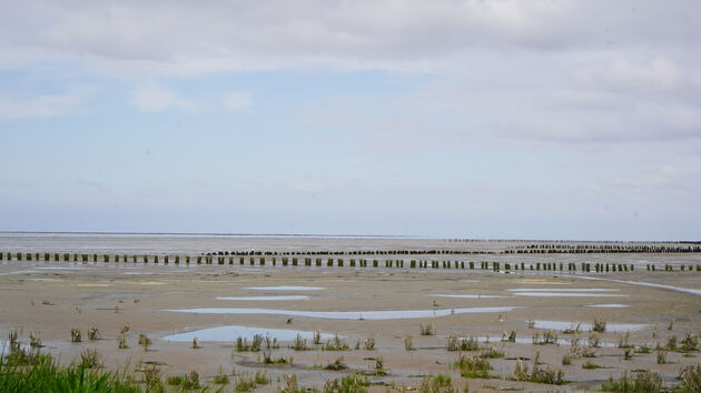 Holwerd, wachten op de veerdienst naar Nes op Ameland