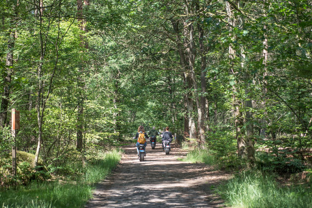 Op E-Choppers rijden we door de Hondsrug in Drenthe