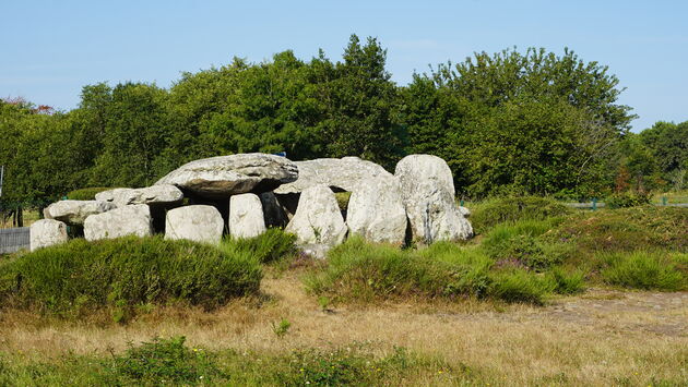 Hunebedden (dolmen) in veelvoud