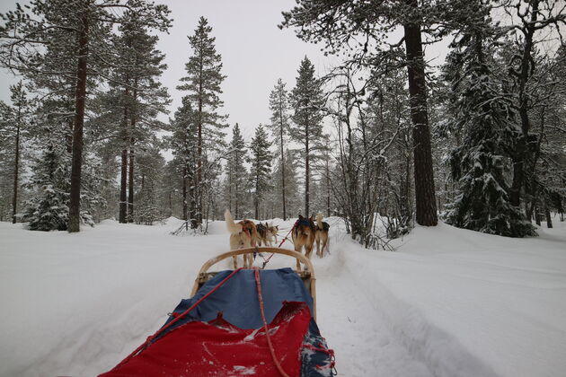 <em>Doen: met husky`s een tocht maken door een dik pak<\/em> sneeuw.
