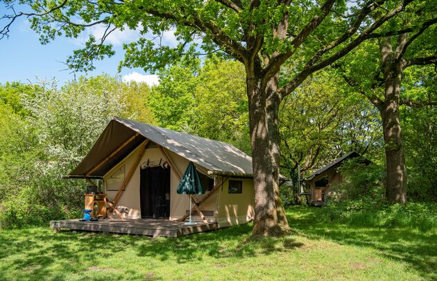 Hele ruime plekken, omgeven door veel bomen