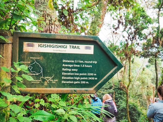 igishigishigi-trail-nyungwe-rwanda-1.jpeg
