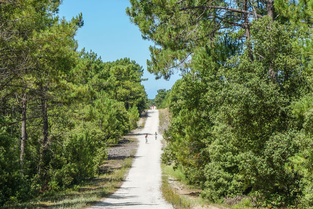 Ile d\u2019Oleron is het perfecte Franse eiland om tot rust te komen