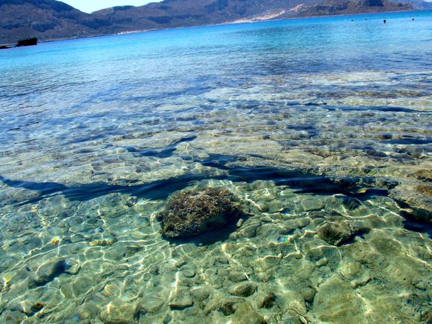 Ontdek de onderwaterwereld in het kristalheldere water