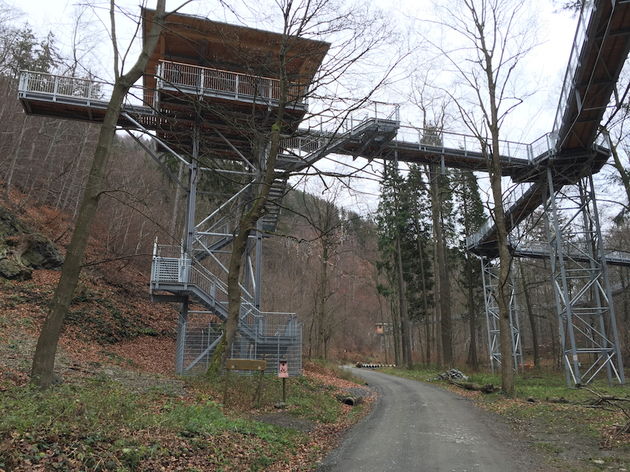 De 1000 meter lange contructie van het Baumwipfelpfad soms tot 26 meter hoog