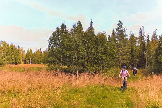 We fietsen door het bos en over de heide. Foto: Niels Bakker