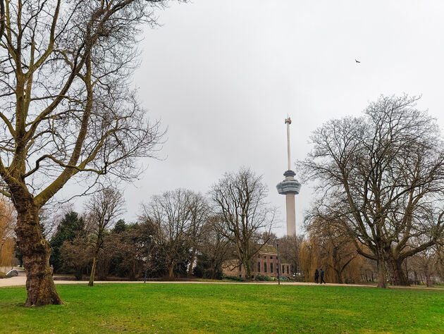 In Het Park in Rotterdam is het jaarrond goed toeven