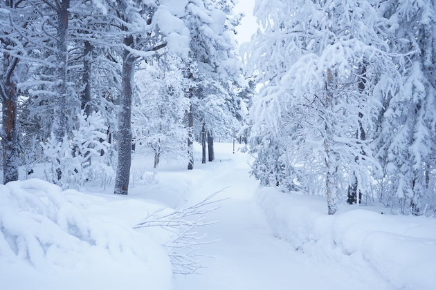 In Lapland zul je genieten van schitterende landschappen, maar ondertussen is het wel heel erg koud