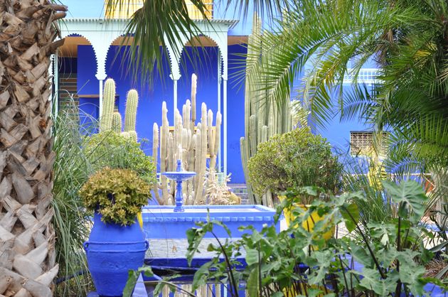 Tip om te zien: Jardin Majorelle