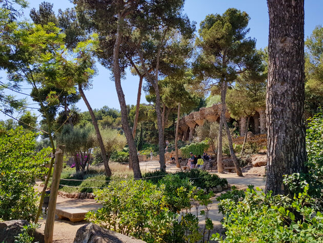 Genieten in een oase van rust tussen de mediterrane bomen en planten