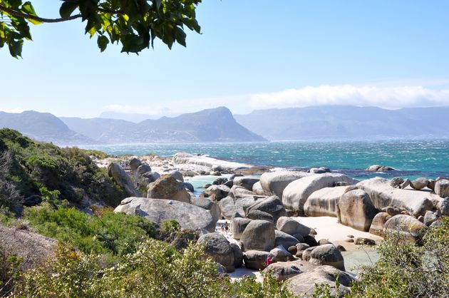 Boulders Beach, op bezoek bij de pingu\u00efns