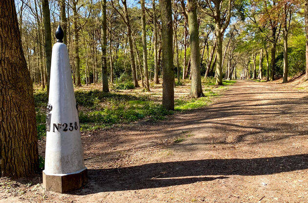 kalmthoutse-heide-grenspaal.jpeg