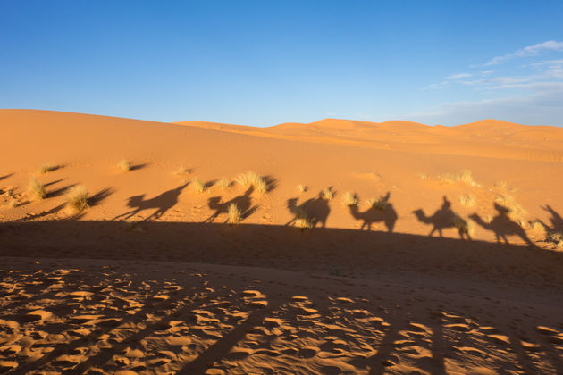 Op kameelsafari in Merzouga\u00a9 Francesco Bonino - Adobe Stock