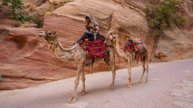 Vooral in de ochtend komen er veel kamelen door de kloof