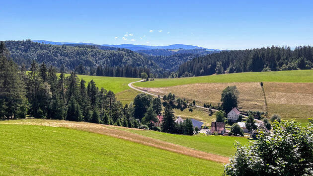 De leukste kampeerregio van Duitsland is het Zwarte Woud