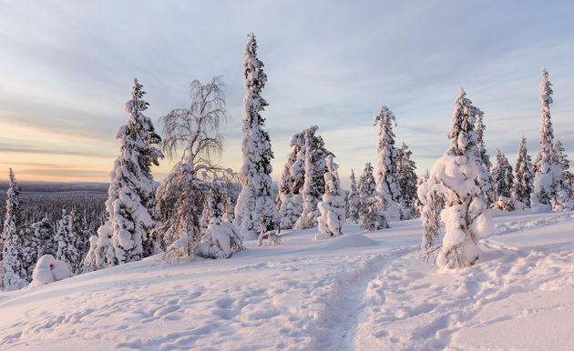 Zo mooi is kerst in Finland\u00a9 photojanski