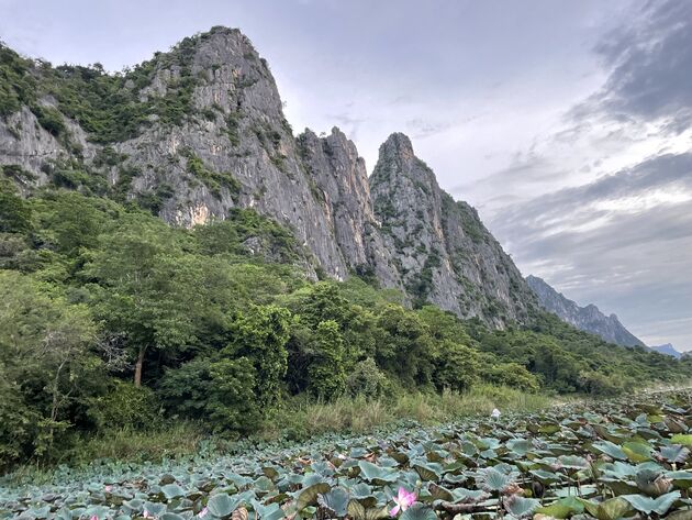 khao-sam-roi-yot-lotus-meer-1.jpeg