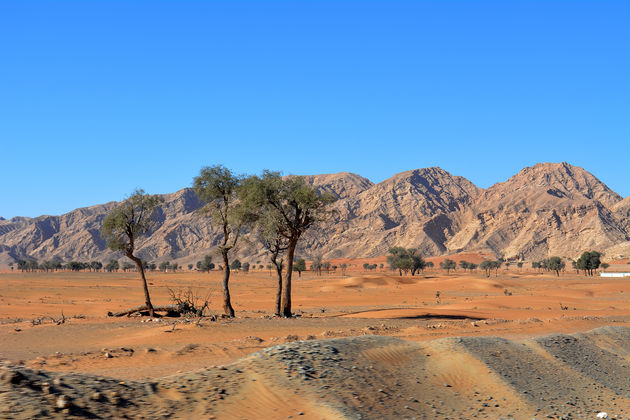 Uitzicht op de woestijn van Khor Fakkan