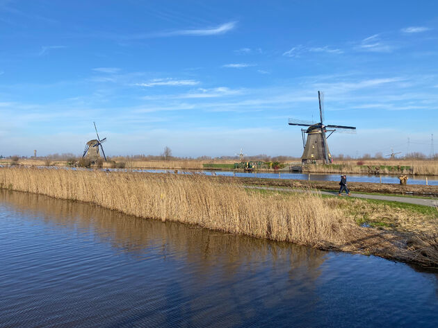 Een Hollands tafereel, maar toch extra bijzonder